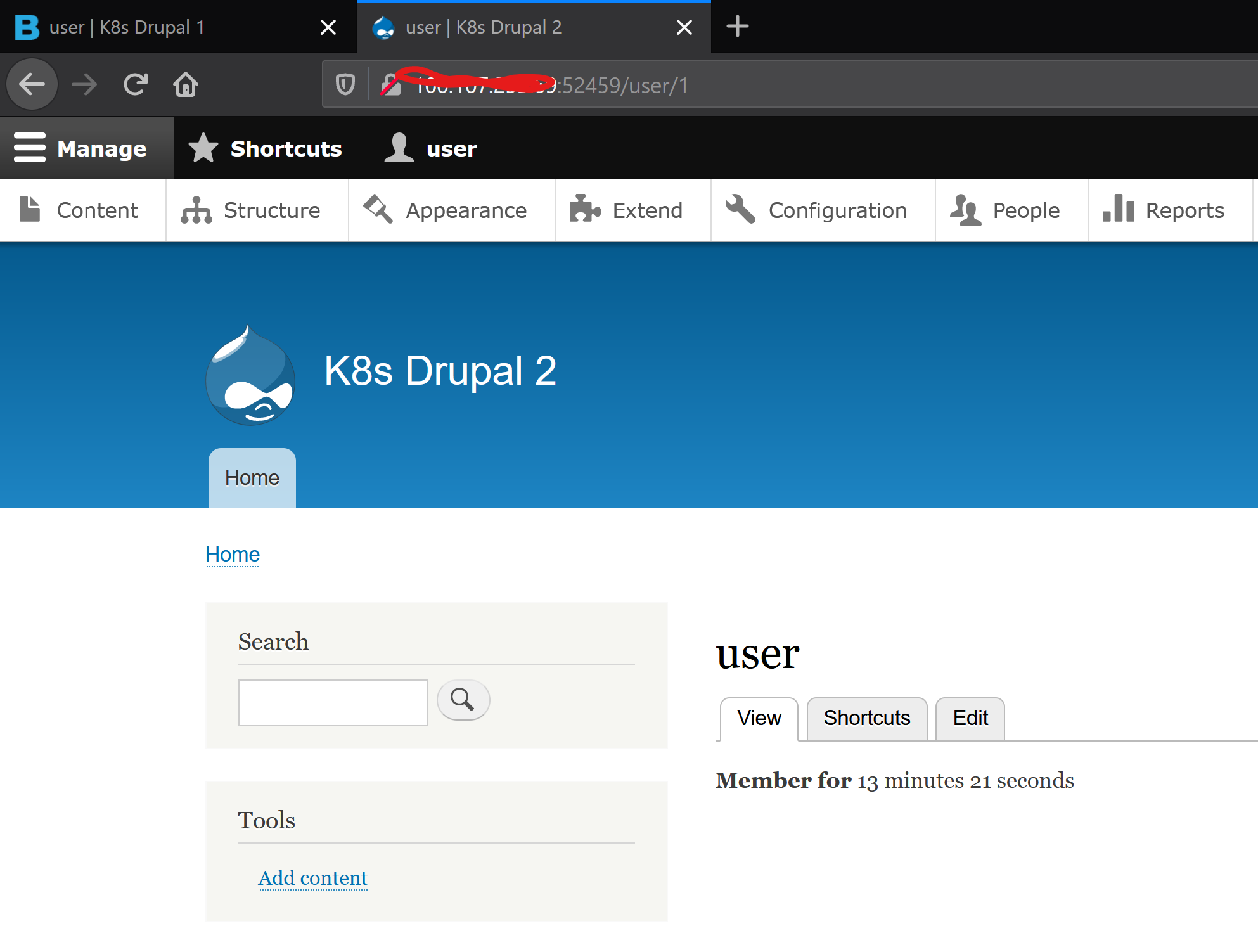 Screenshot of Drupal 2 environment