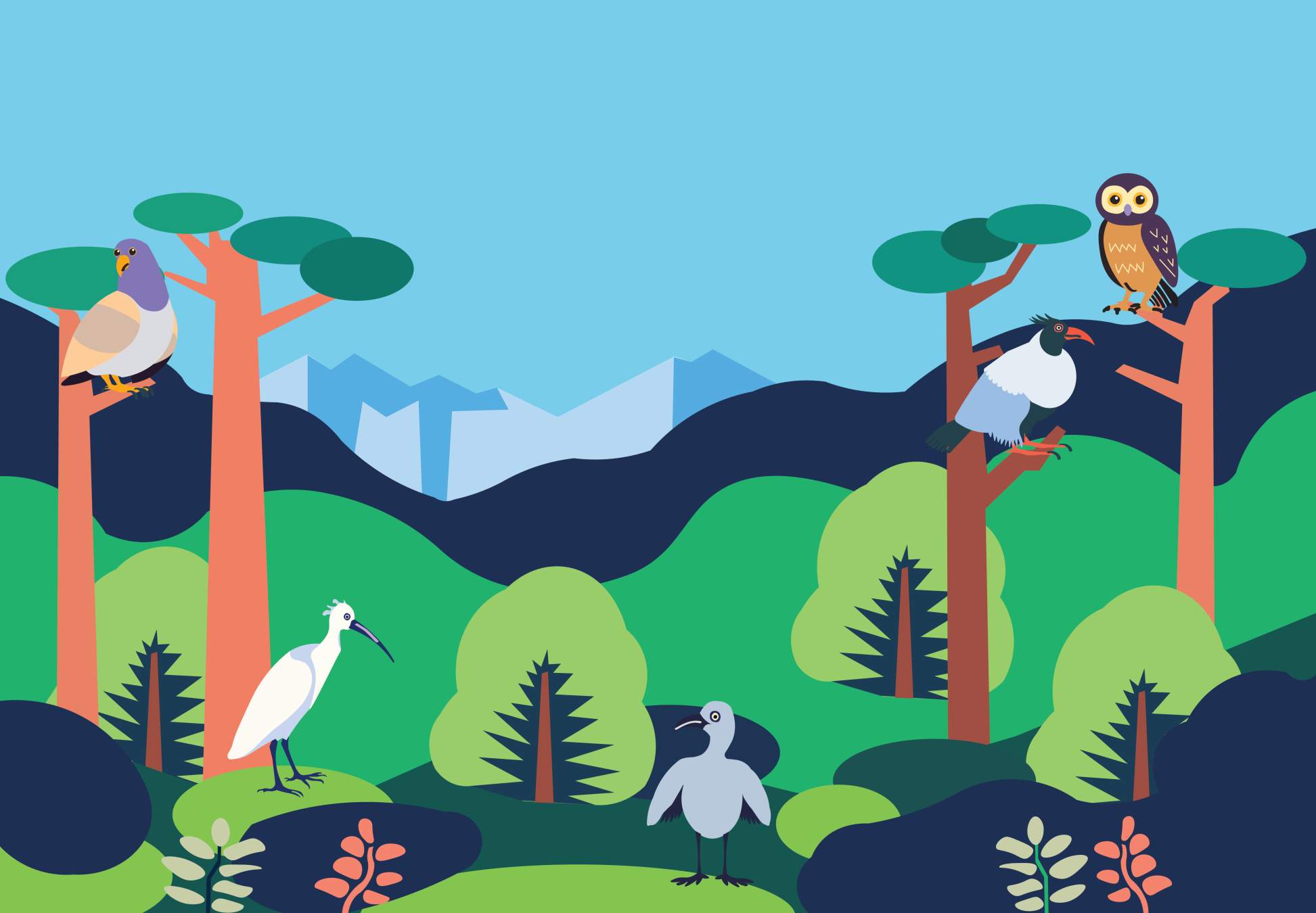 Cartoon birds in a New Zealand landscape