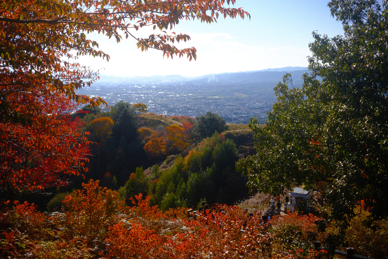A photo taken in Nara, Japan during DrupalCon Nara 2025.