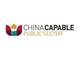China Capable Public Sector