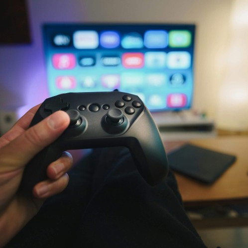 gamer