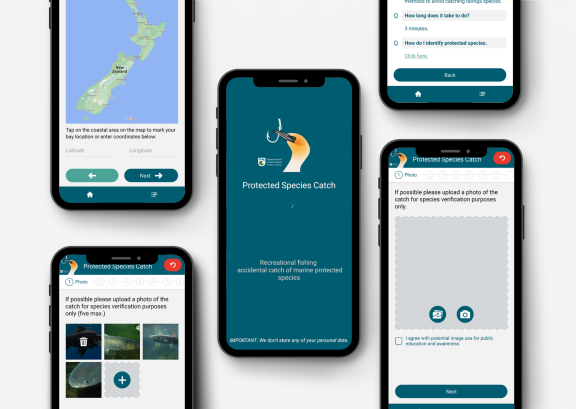 Department of Conservation photo