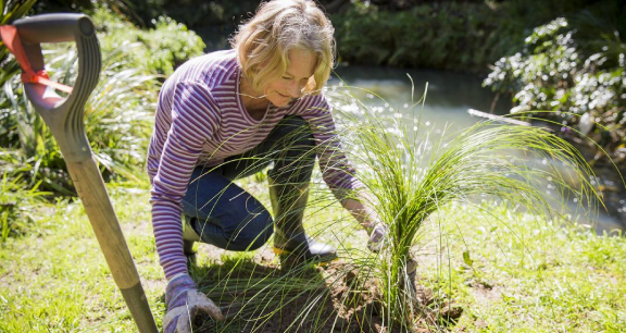 Woman gardening