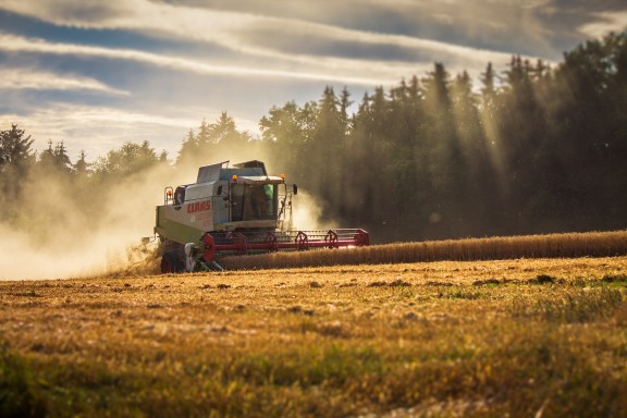Machine trudging along a wheat field
