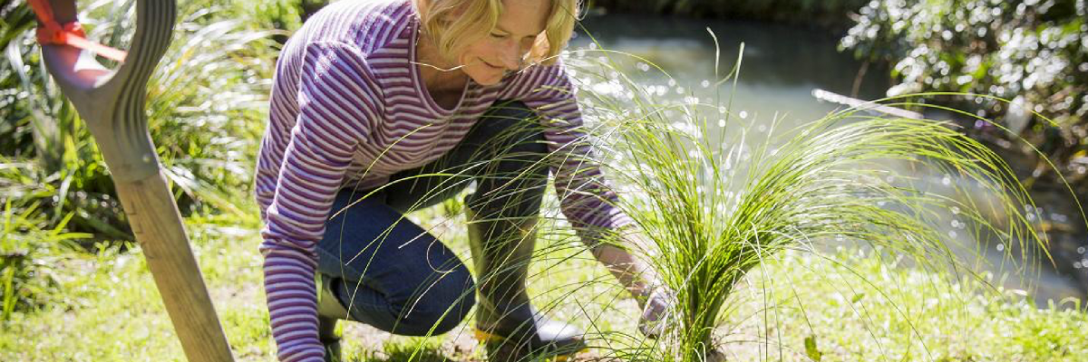 Woman gardening