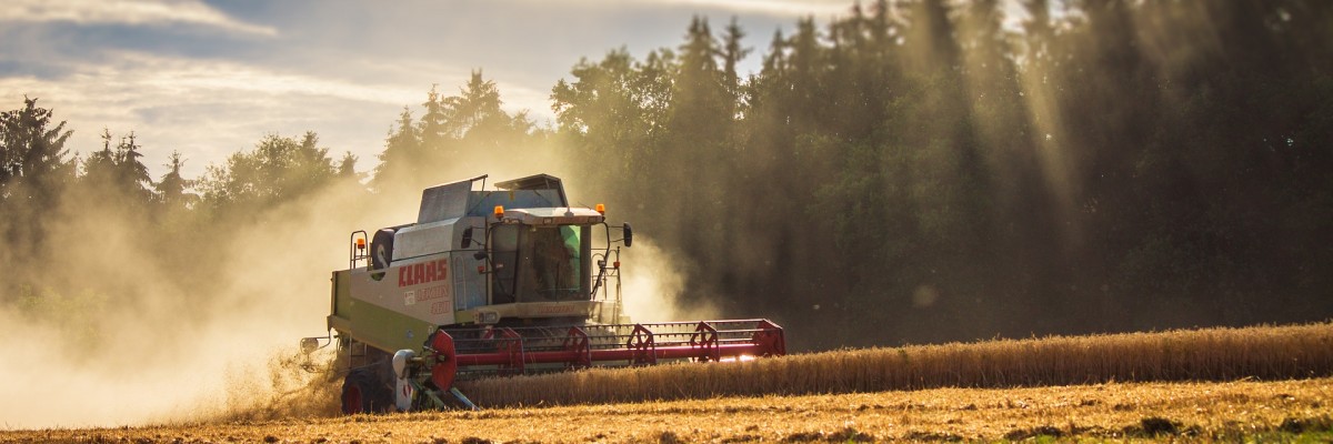 Machine trudging along a wheat field